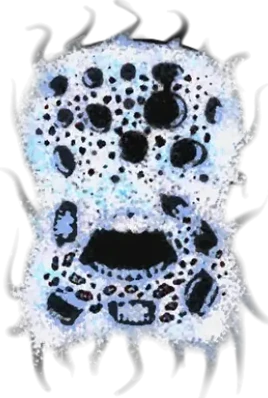 Bluesponge