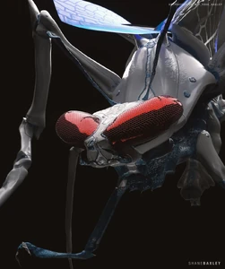 Butterfly Design 4.jpg (128 KB)