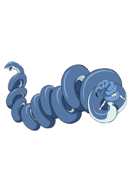 Campylobacter key