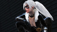 Black Cat (Web of Shadows)