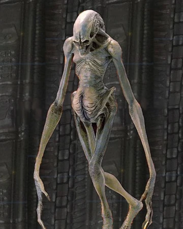 images Newborn Xenomorph Concept Art newborn villains wiki fandom