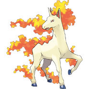 Rapidash