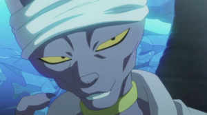 Beerus thinking.