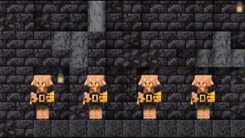Piglin Brutes