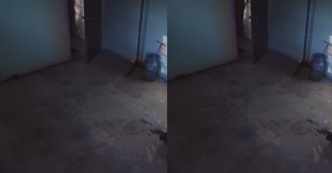 The Unnamed Entity stalking the unnamed old man.