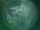Bad Moon