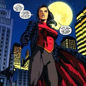 Lady Shiva Villains Wiki Fandom Usually, they come across as intimidating, powerful, or scary in some form, setting traps, destroying cities. lady shiva villains wiki fandom