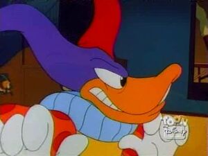 Quackerjack 41