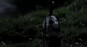 "I can't believe this!"