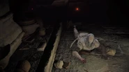 White-Mask Varré as he slowly dies from his wounds following his battle with the Tarnished.