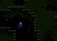 Fuwatti4.jpg (1.75 MB) Fuwatty outside with Hiroshi.