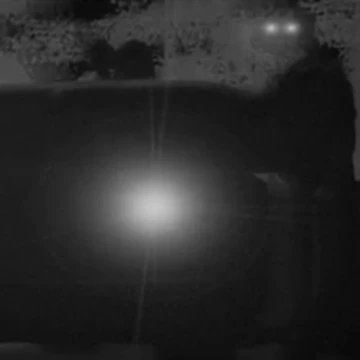 Scp 973 2 Villains Wiki Fandom