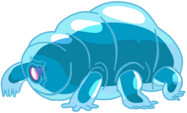 Water Bear