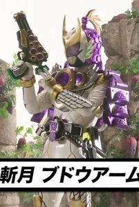 Zangetsu Grapes Arms.jpg (48 KB) Budou Arms