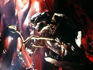 Fog Mother 2.jpg (232 KB) Fog Mother shows her true form.