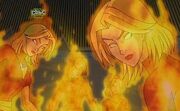 Stepford Cuckoos Phoenix