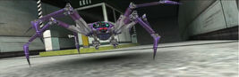 Spiders