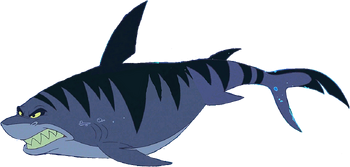 Shark