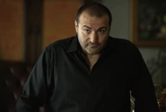 Stefan Volkov