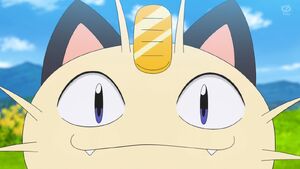 Meowth during the title card