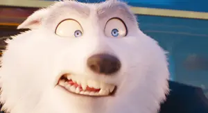 "...amateur loser like you humiliate me?"