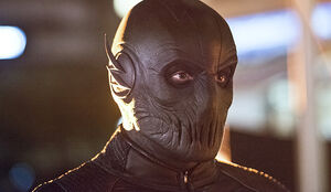 Behind the scenes image of Zoom.