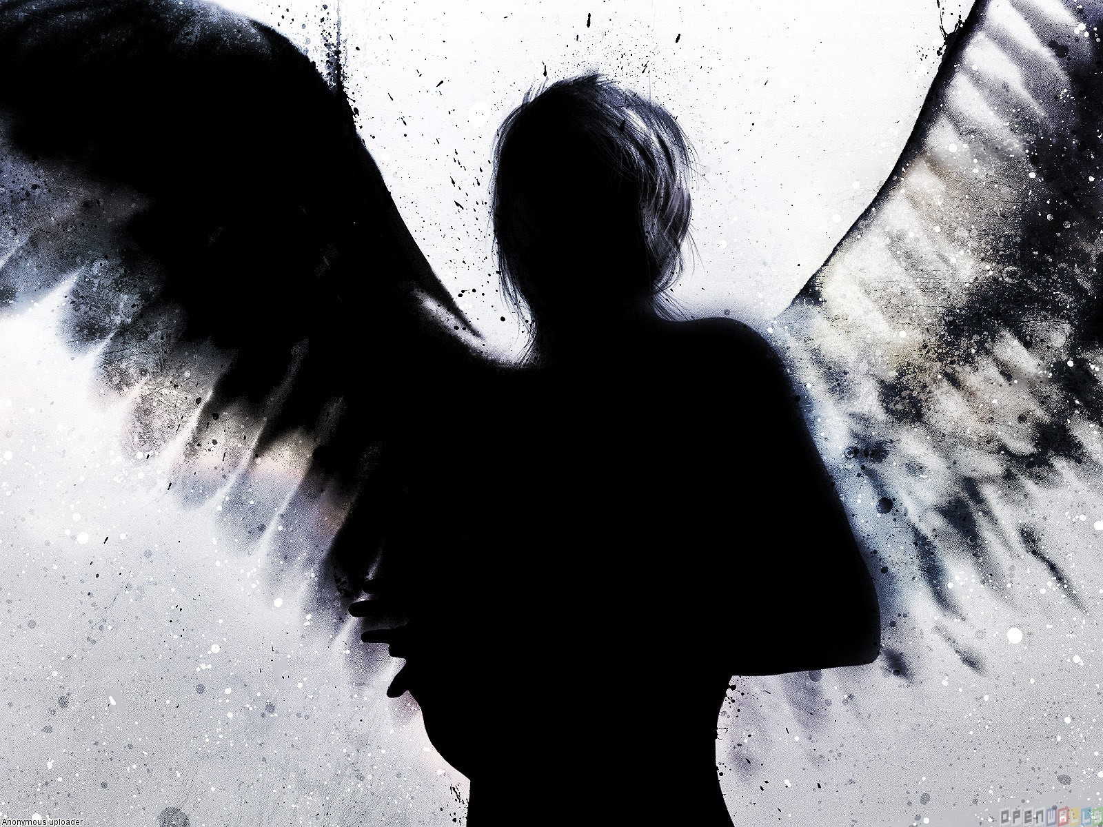 Fallen_angel_1600x1200.jpg