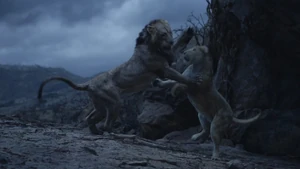 Scar attacks Sarabi