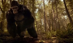 Grodd (Arrowverse)/Gallery | Villains Wiki | Fandom