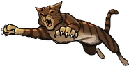 Hawkfrost in A Shadow in Riverclan