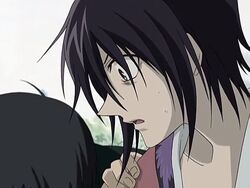 Akito Sohma (Fruits Basket 2001), Villains Wiki