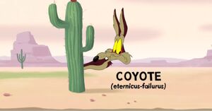 Wile E. Coyote 2020 48