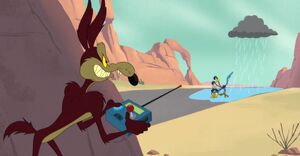 Road Runner and Wile E. Coyote 2020 03