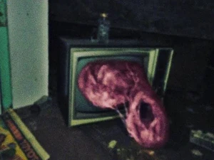 TVLamb.jpg (32 KB) The Lamb coming out of a TV.