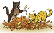 Hawkpaw and Mothpaw playing in A Shadow in RiverClan