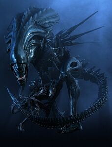 The Queen with a Xenomorph Drone.