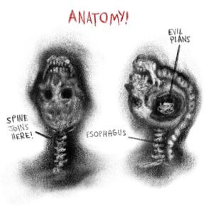 The anatomy of The Man with the Upside-Down Face's head.