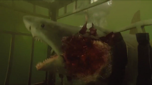 The Great White Shark's brains being blown out by Nick's powerhead gun.
