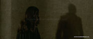 Adam's shadow while stalking her