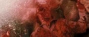 Bates's death.