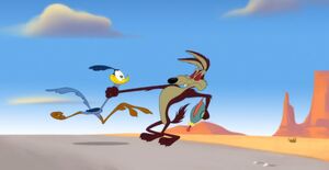 Wile E. Coyote 2020 64