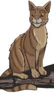 Onestar.GA.png (823 KB) Onestar in Graystripe's Adventure