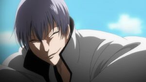 Gin Ichimaru2