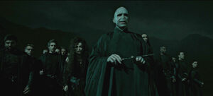 Lord Voldemort & the Death Eaters