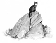 Onestar.FG-1.png (597 KB) Onestar in Secrets of the Clans