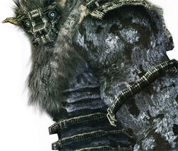 Barba Shadow of the Colossus Villains Wiki Fandom