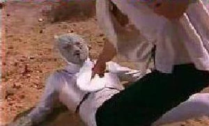 One Touch Defeat of Z Putty.