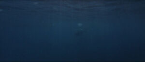 Jaws-movie-screencaps com-13467