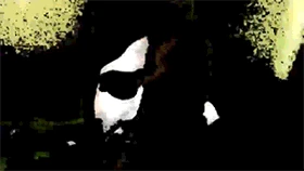 Michael possessed by Samael Crow.