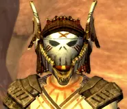 Salt-Upon-Wounds in-game.